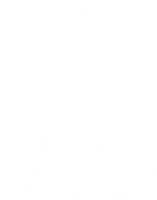 Partner hospital