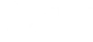 Partner hospital